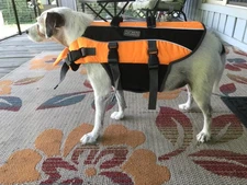 Kyjen Outward Hound Dog Life Jacket Medium Orange 