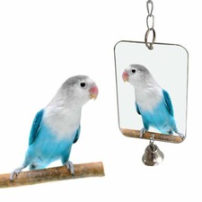 Pet Toy Hanging Bell Mirror Swing for Parrot Bird Bite Climb Plays Cage Decor