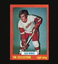 1973-74 Topps Hockey Card Number 124 Tim Ecclestone Detroit Red Wings #124