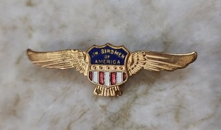 Pin antiguo Jr. Birdman of America