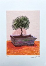 DAVID HOCKNEY - Bonsai - signed, numbered 158/500, 35x50 cm