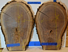 BOOKMATCH SET Black Walnut Live Edge, Grade 5 - 32x21x2.5 Dried  Planed EB11-5