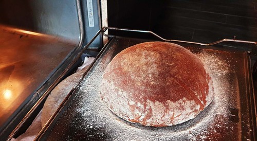 SOURDOUGH STARTER from ALASKA yeast very strong, alaska sour extremely active A - Picture 6 of 6