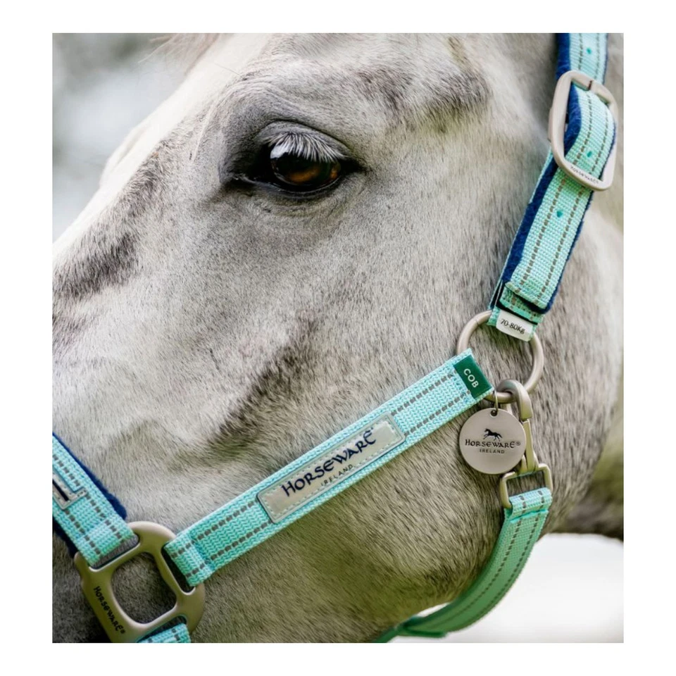 HORSEWARE IRELAND Field Safe Blue Haze Halter (DHHFM0-DDD0) Foto 2 de 4