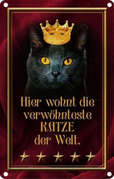Blechschild 30X20 Cm Hier Wohnt Katze Der Welt Tier Haustier Deko Geschenk Metal-image