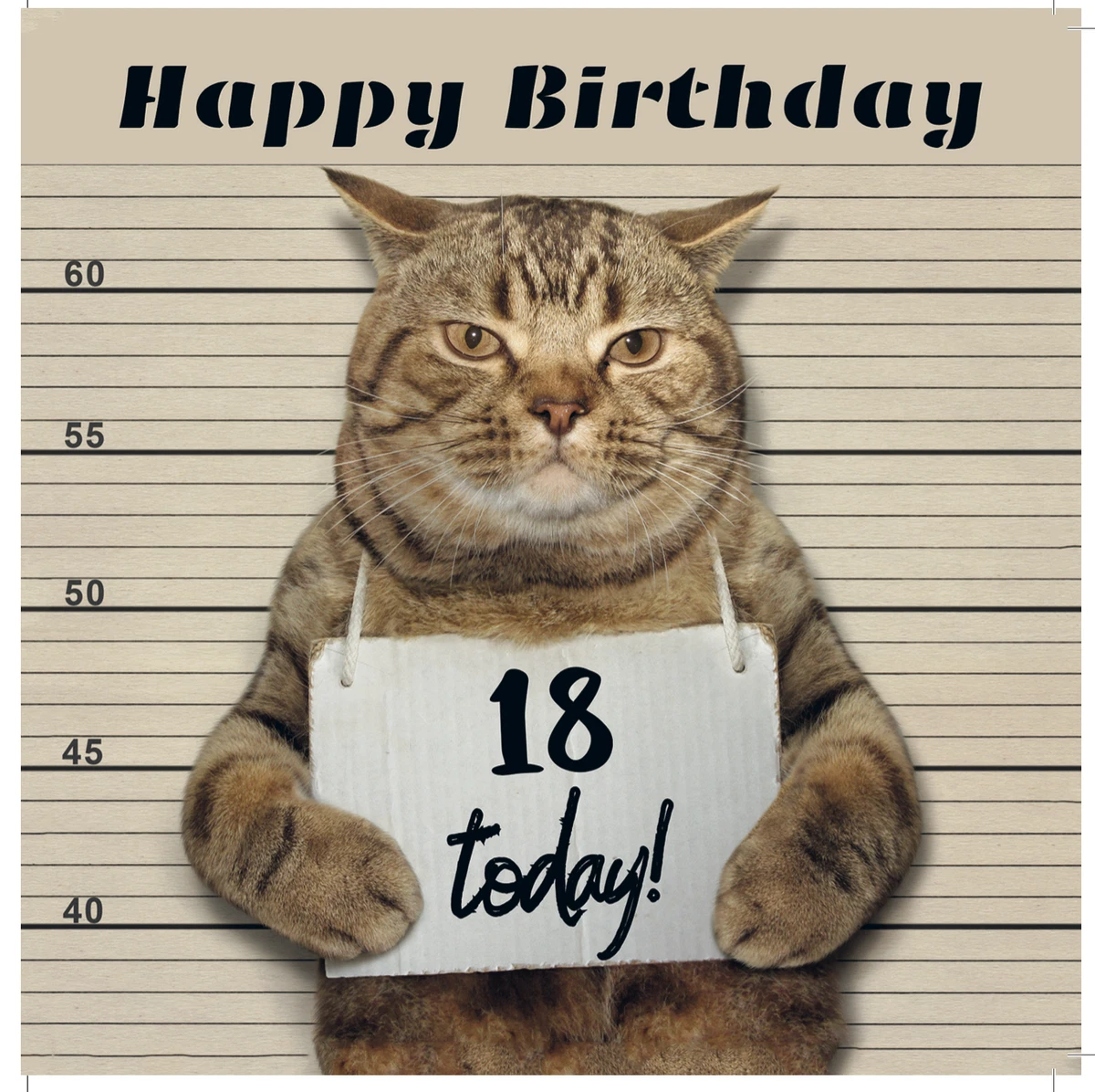 Update 136+ cat birthday cake meme best in.eteachers
