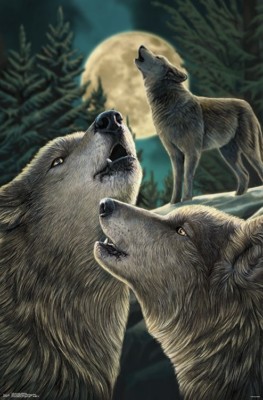 WOLF SONG FANTASY ART POSTER 22x34-17204 LISA PARKER