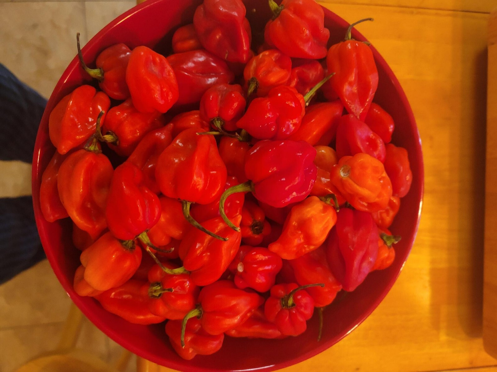 3 Pound Fresh Red Habanero Chili Peppers eBay