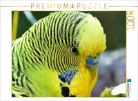 Calvendo Puzzle Close-Up Of A Friendly Budgie | 1000 Pieces, Finished Size 25.2