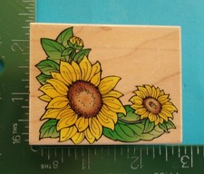 Hero Arts SUNFLOWER CORNER Flower Rubber Stamp E1577