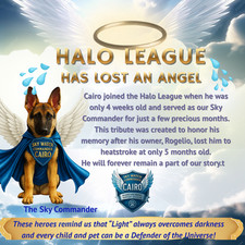 Rainbow Bridge Pet Memorial   Personalized Angel Tribute   Halo League Digital A