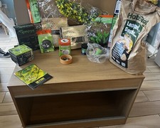 Gecko starter set- Vivexotic Maxi Medium Vivarium And All Start Up Accessories 