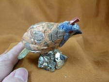 (Y-BIR-QU-31) Codorniz Bronceado Verde Azul Pájaro Piedra Preciosa Figura Perú Codornices