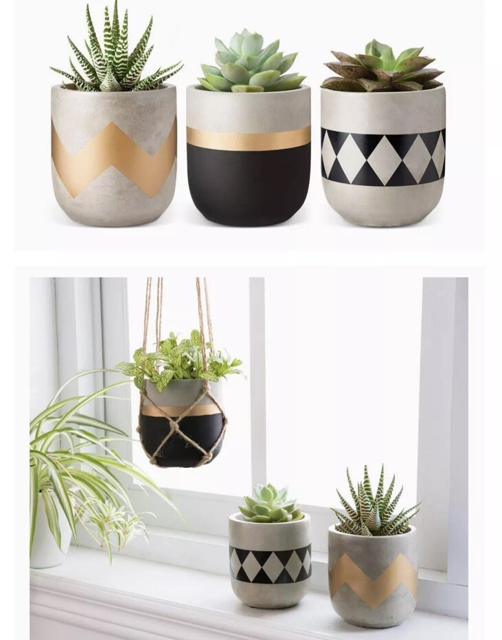 best artificial succulents 50 Pack