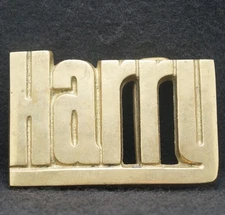 WE03132 FANTASTIC VINTAGE 1970s ***HARRY*** NAME FASHION SOLID BRASS BELT BUCKLE