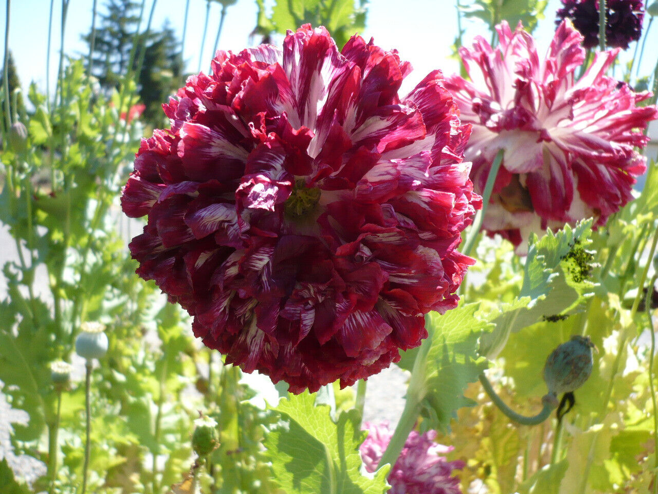 Foto 11 di 24
