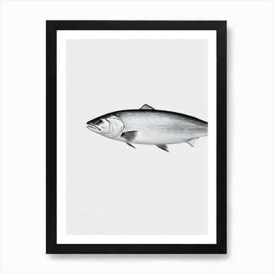 Tilefish Black & White Drawing Art  Framed Wall Art Poster Canvas Print Picture