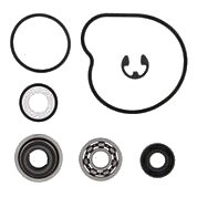 VERTEX 2020-2021 Alterra 570 EPS Arctic Cat WATER PUMP REBUILD KIT 821928