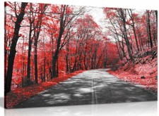 Black & White Road Trees Red Leaves Canvas Wall Art Picture Print