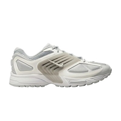 Nike Pegasus Wave Flat Silver IB0612-003 Available Now