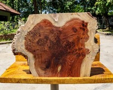 Gold AMBOYNA BURL LUMBER Live Edge DIY Table Top Natural Slab Wood Resin Epoxy