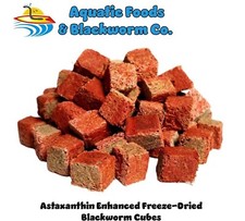 Astaxanthin Enhanced Freeze-Dried California Blackworm Cubes for Discus, Cichlid