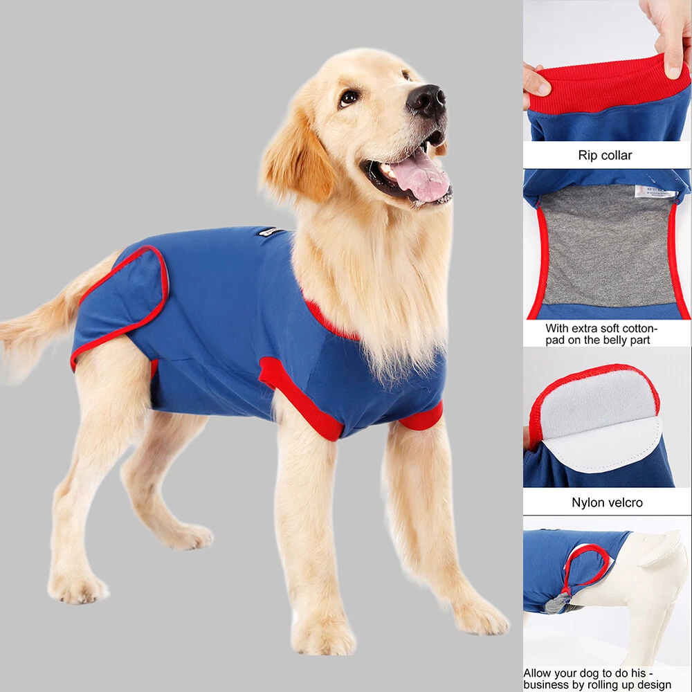 Cat Dog Recovery Suit for Wounds Recovery Shirt for Dogs After Surgery Pets