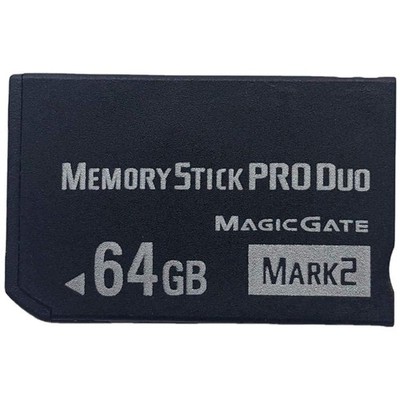 64GB Memory Stick Pro Duo for Burst Shooting