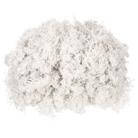 Konserv. Rentier Moos Weiß, 4.6Oz, FüR Topfpflanzen, Deko, Basteln