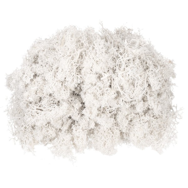 Konserv. Rentier Moos Weiß, 4.6Oz, FüR Topfpflanzen, Deko, Basteln-image