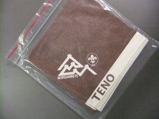 Boy Scout World Jamboree 1975 Subcamp Neckerchief 9539PP