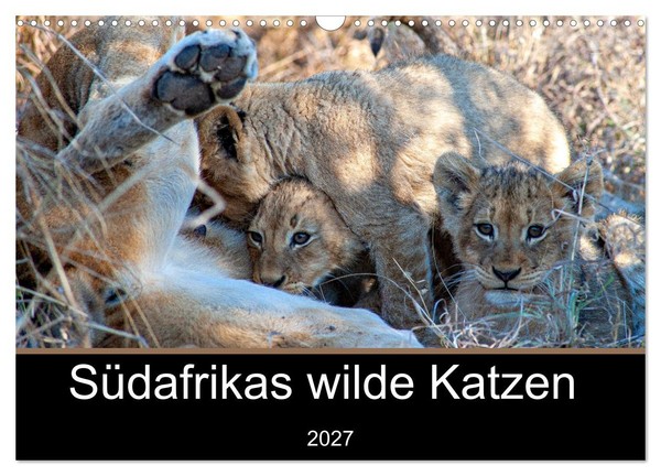 "Calendar 2027 · US Version · South Africa's Wild Cats (Wall Calendar 2027 17\" ×"-image