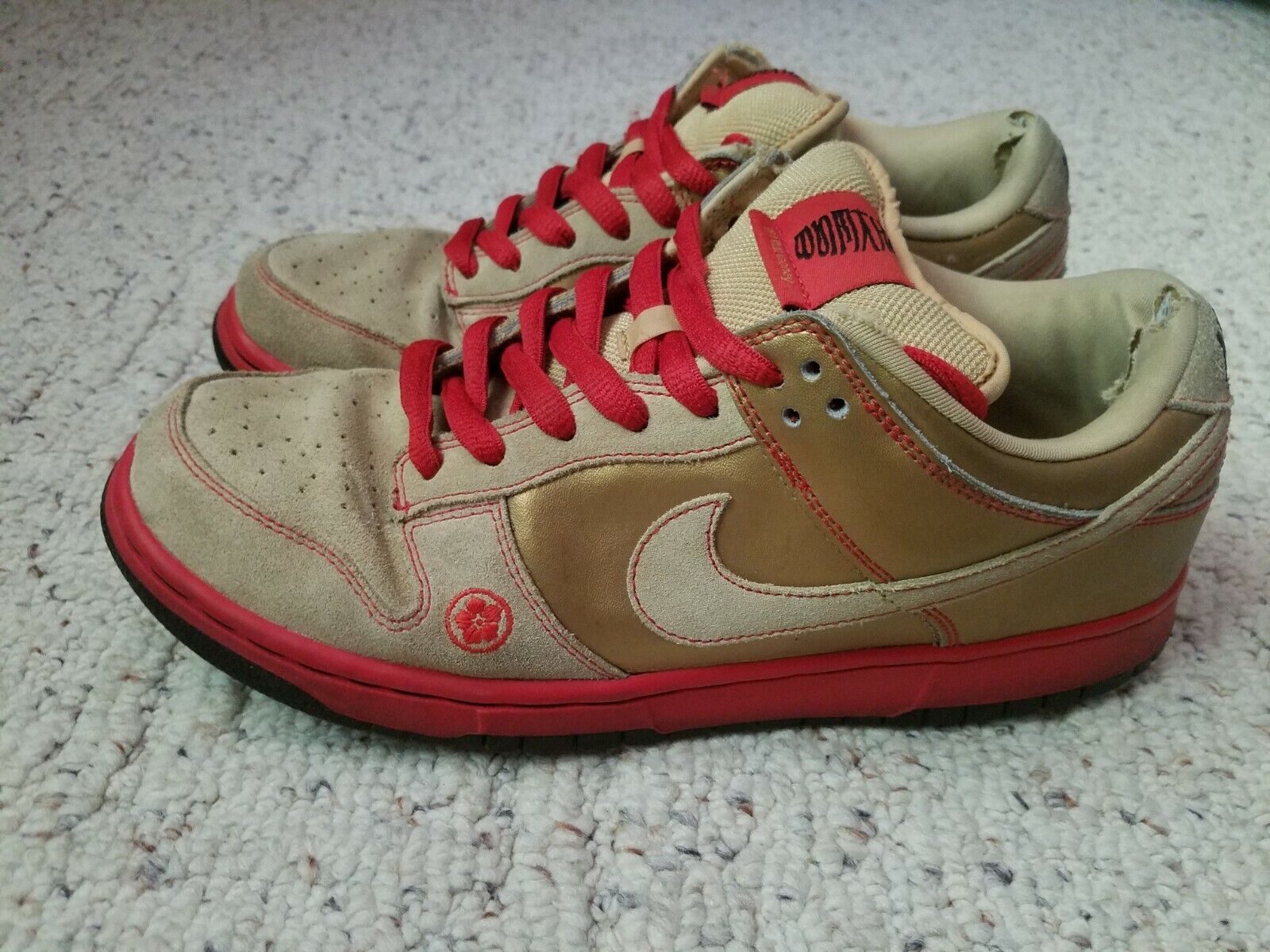 nike sb dunk money cat