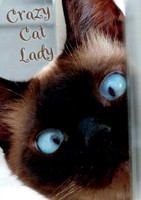 Vivienne Ainslie | Crazy Cat Lady Notebook | Taschenbuch | Englisch (2020)