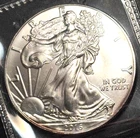 USA 2016 SILVER EAGLE: GEM BU,, DIRECT FROM PENN METALS, 1 0Z FINE SILVER