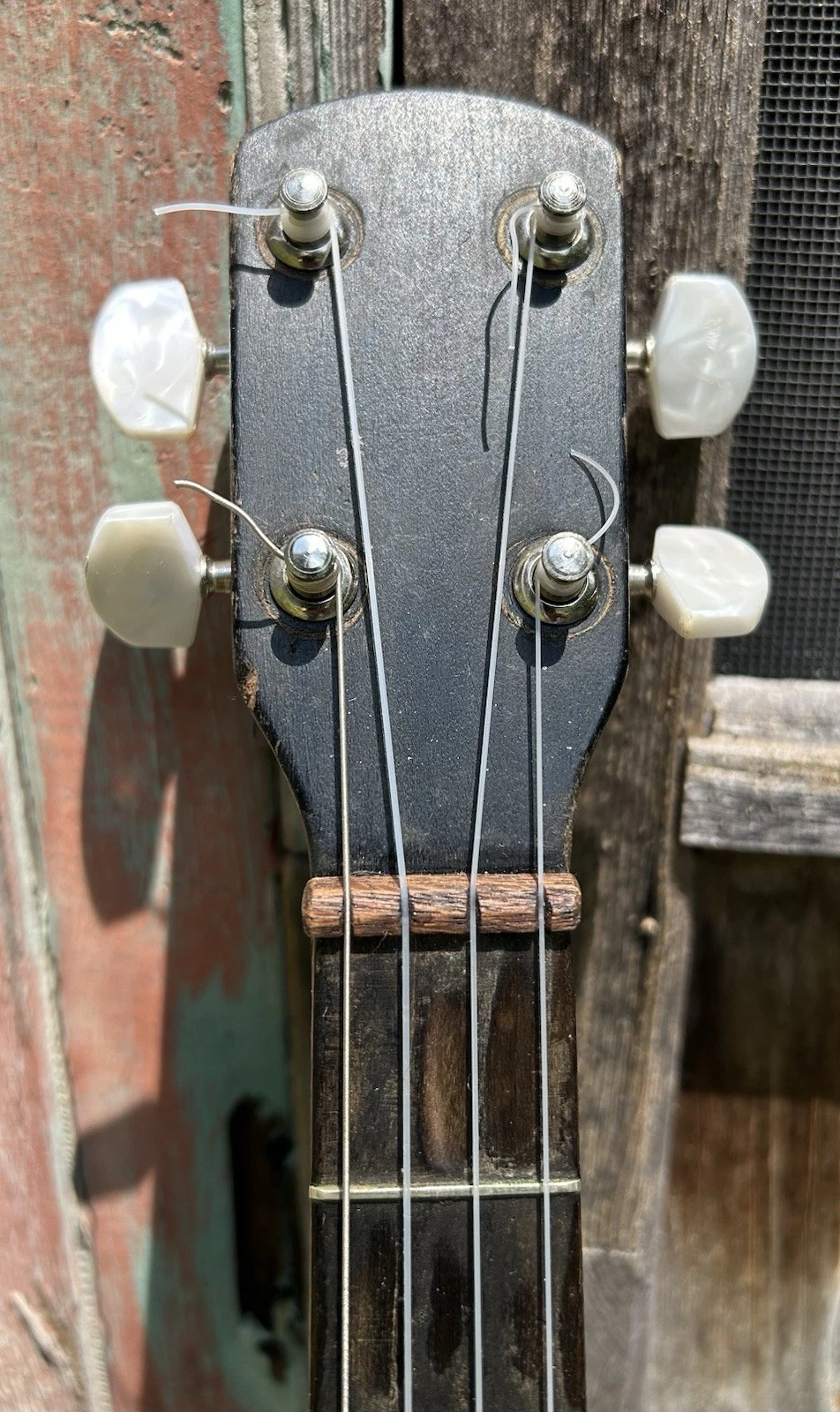 Picture 5 of 9