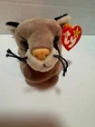 Ty Beanie Babies Canyon D.O.B. May 29th 1998 PE Pellets Vintage