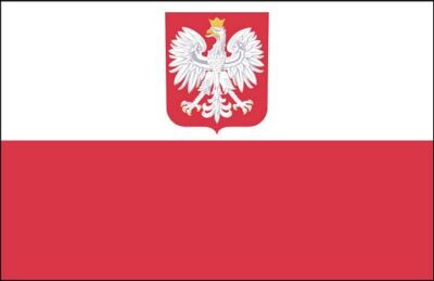 Autoaufkleber Sticker Fahne Polen Adler Flagge Aufkleber