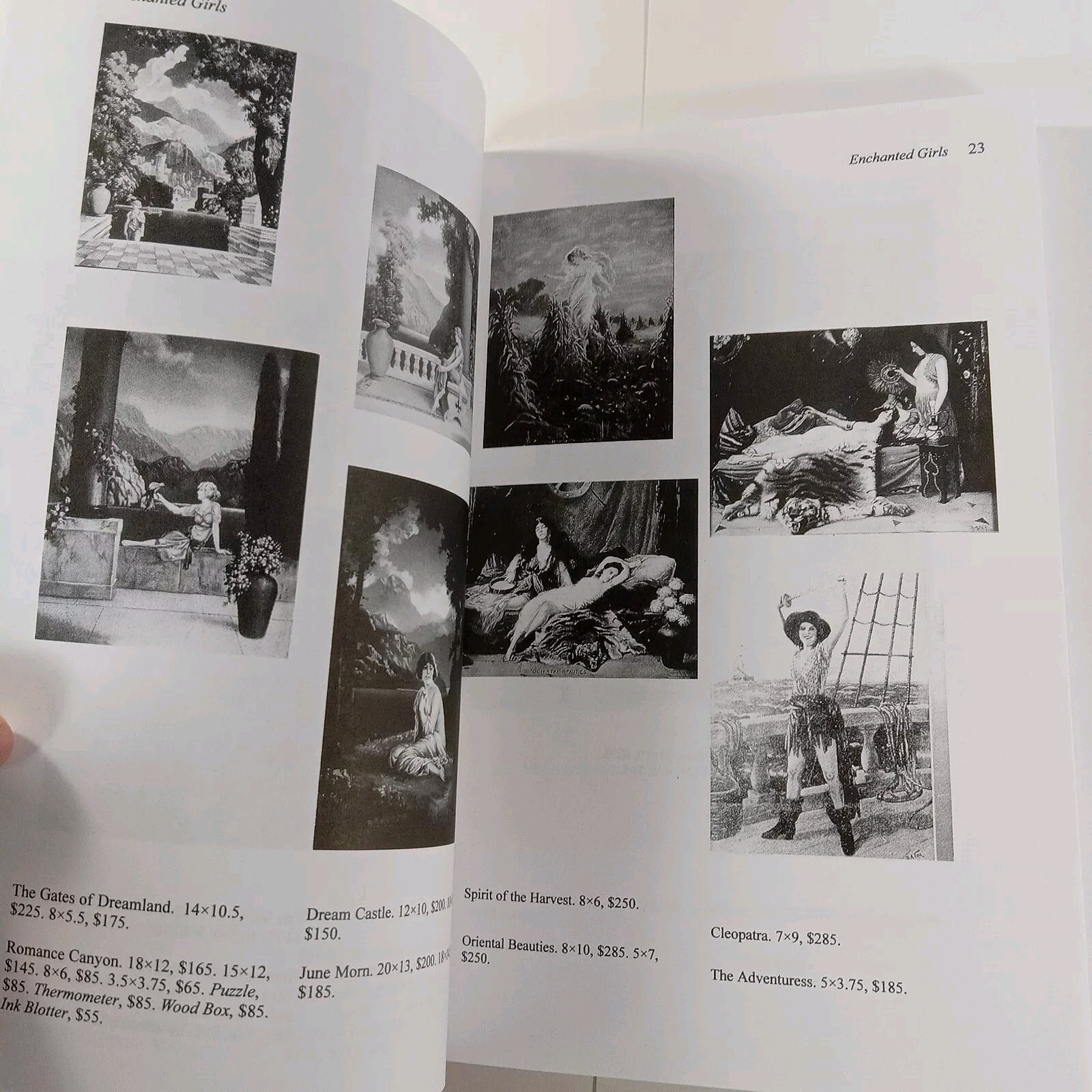 Picture 10 of 10