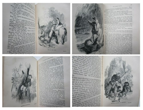1858 BOY'S ADVENTURE'S in AUSTRALIA Hunting Australian Bush Aborigines Animals - Picture 10 of 12