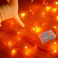 RUICHEN 16 Ft Copper Wire 50 LED Mini Fairy String Lights Battery Operated fo...