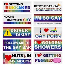 DXNQ 10 PCS Car Funny LGBT Stickers, Waterproof Prank Rainbow Style 2,stick