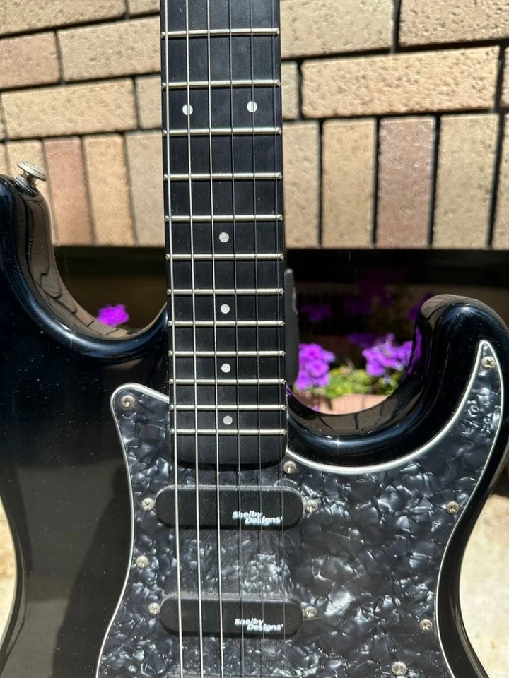 Guitarra estilo firma Fretlight con software y accesorios, usada, Foto 4 de 4