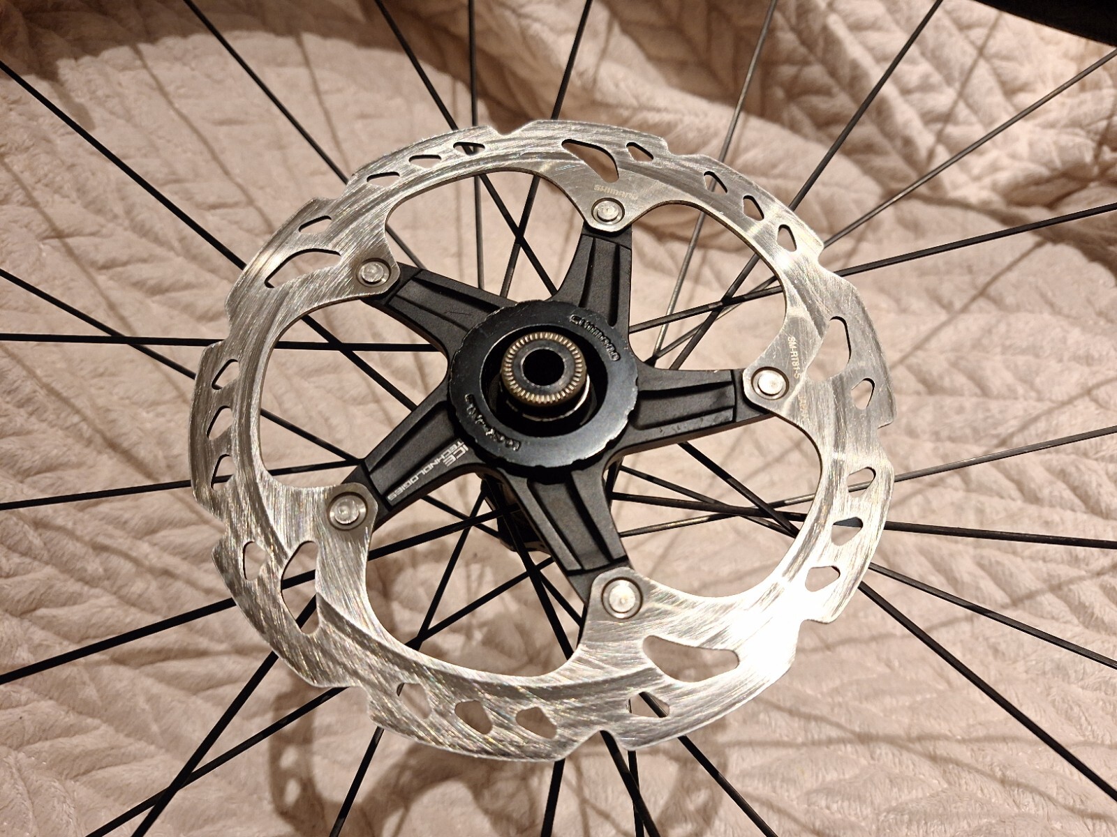 dt swiss r23 spline disc