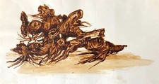 The Thick Ink Tree Stump On Paper Circa 1970 Anonymous ...