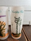 Vintage Blakely Oil Gas Arizona Cactus Frosted Highball Glasses Advertising Bar — photo 5
