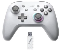 leadjoy Z1 Lite Switch Controller, Wireless Controller Compatible with Switch/PC