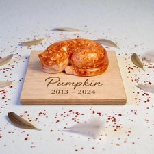 Resin Pet Memorial Ornament ?Cat  Keepsake with Ashes or Fur