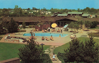 Postcard Los Gatos, CA: Los Gatos Lodge | Vintage Mid-Century Swimming Pool View