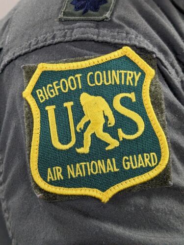 BIGFOOT Air Force Unità Guardia Nazionale Patch Morale Esercito Militare Patriot NORAD - Foto 2 di 2